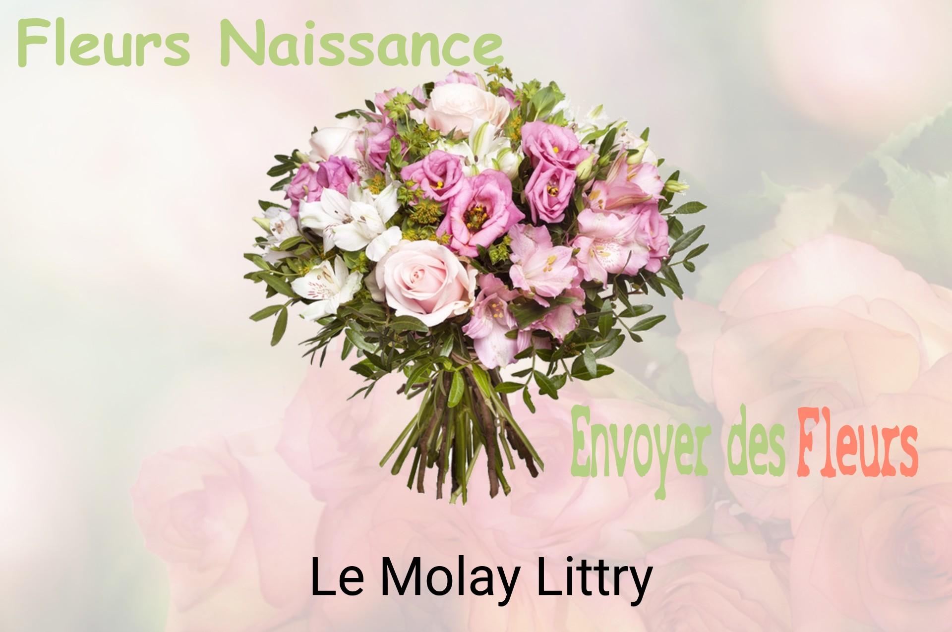 Bouquet de fleurs de naissance livré à Le Molay-Littry