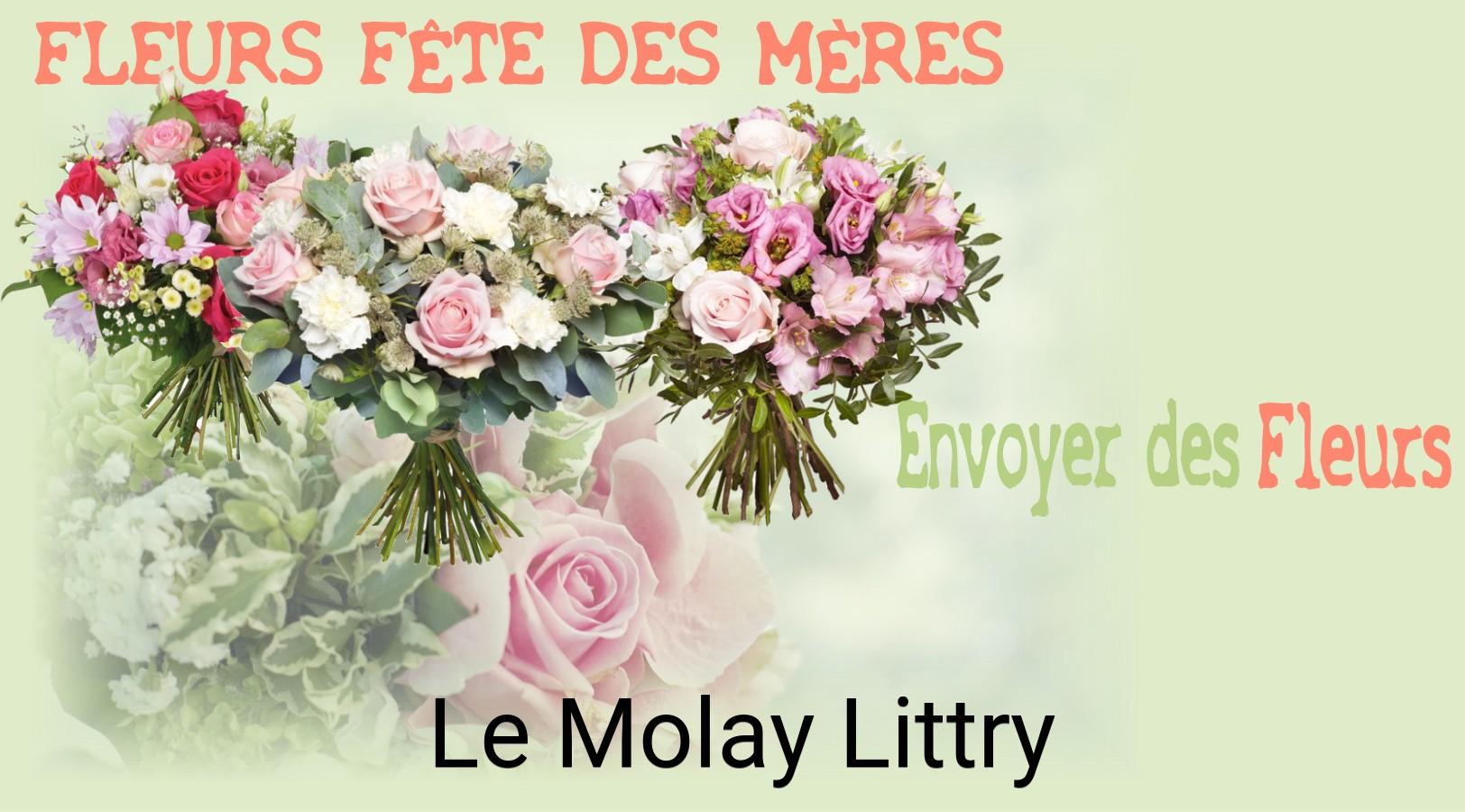 Bouquet de Fête des Mères livré à Le Molay-Littry